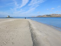 IMG_2346.JPG
