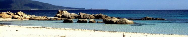 asinara_cala_s.andrea.JPG