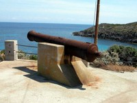 asinara--38-.jpg